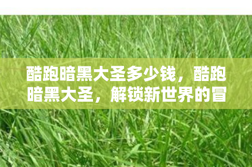 酷跑暗黑大圣多少钱，酷跑暗黑大圣，解锁新世界的冒险之旅