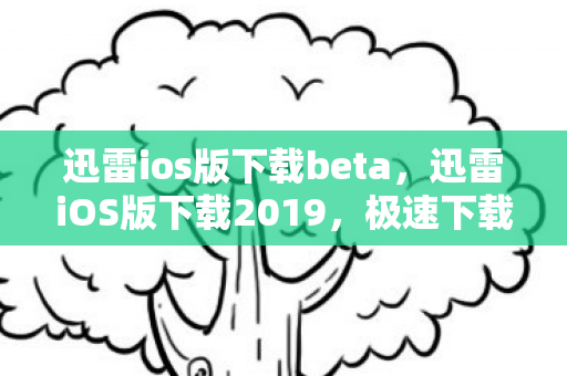 迅雷ios版下载beta，迅雷iOS版下载2019，极速下载体验与功能亮点解析