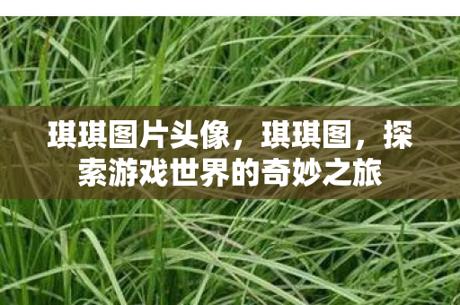 琪琪图片头像，琪琪图，探索游戏世界的奇妙之旅