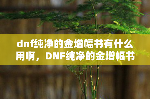dnf纯净的金增幅书有什么用啊，DNF纯净的金增幅书有什么用？