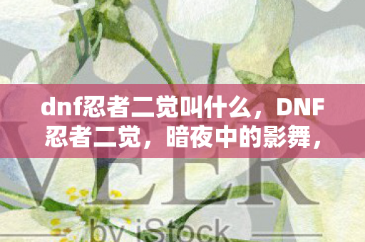 dnf忍者二觉叫什么，DNF忍者二觉，暗夜中的影舞，觉醒的极致