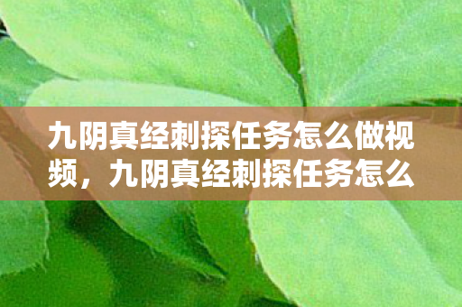 九阴真经刺探任务怎么做视频，九阴真经刺探任务怎么做