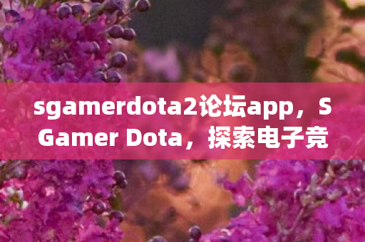 sgamerdota2论坛app，SGamer Dota，探索电子竞技的无限可能