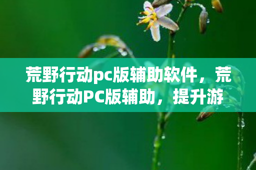荒野行动pc版辅助软件，荒野行动PC版辅助，提升游戏体验的利器