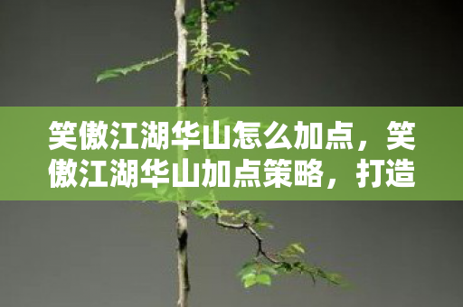 笑傲江湖华山怎么加点，笑傲江湖华山加点策略，打造最强剑侠