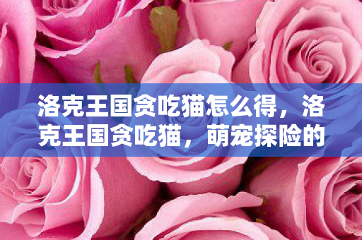 洛克王国贪吃猫怎么得，洛克王国贪吃猫，萌宠探险的奇妙之旅