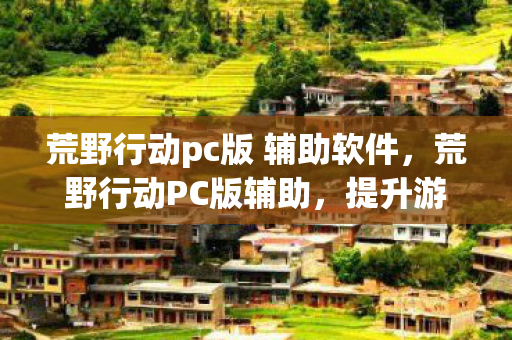 荒野行动pc版 辅助软件，荒野行动PC版辅助，提升游戏体验的合法工具