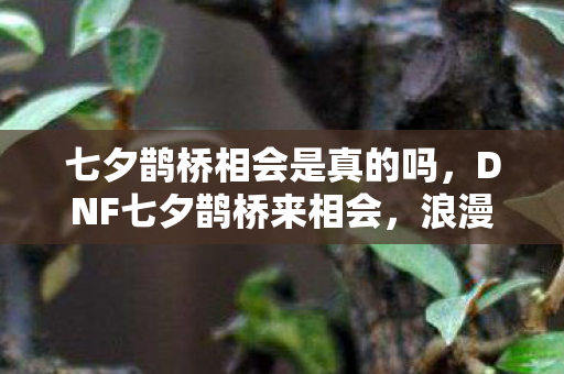 七夕鹊桥相会是真的吗，DNF七夕鹊桥来相会，浪漫与冒险的交织