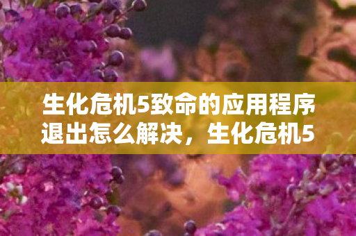 生化危机5致命的应用程序退出怎么解决，生化危机5，致命的应用程序退出