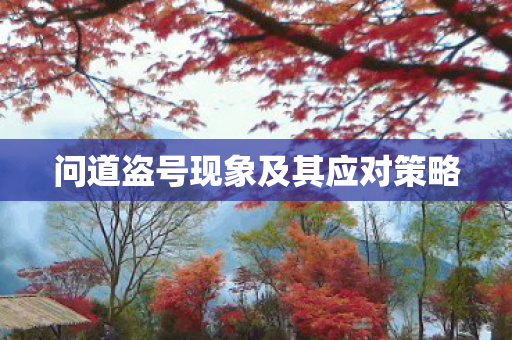 问道盗号现象及其应对策略