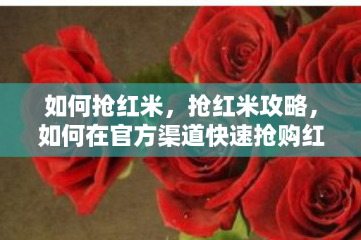 如何抢红米，抢红米攻略，如何在官方渠道快速抢购红米手机