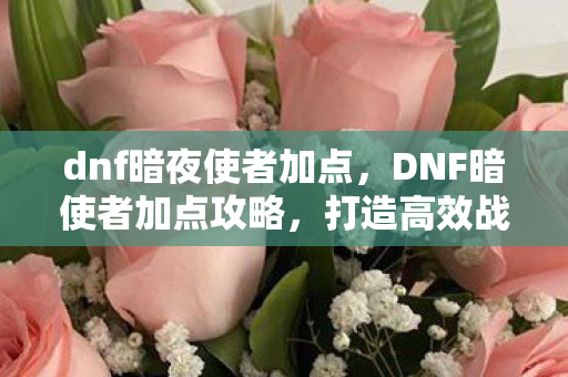 dnf暗夜使者加点，DNF暗使者加点攻略，打造高效战斗力的关键