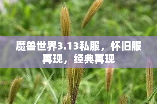 魔兽世界3.13私服，怀旧服再现，经典再现