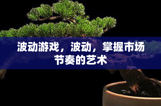 波动游戏，波动，掌握市场节奏的艺术