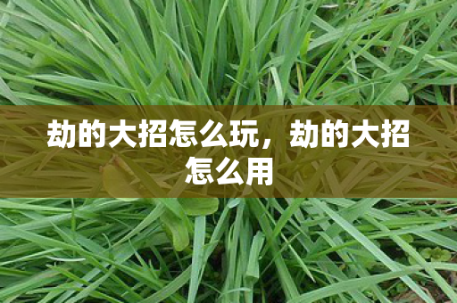 劫的大招怎么玩，劫的大招怎么用