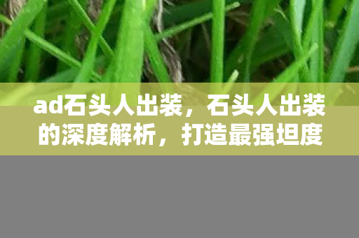 ad石头人出装，石头人出装的深度解析，打造最强坦度与控场