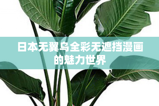 日本无翼乌全彩无遮挡漫画的魅力世界