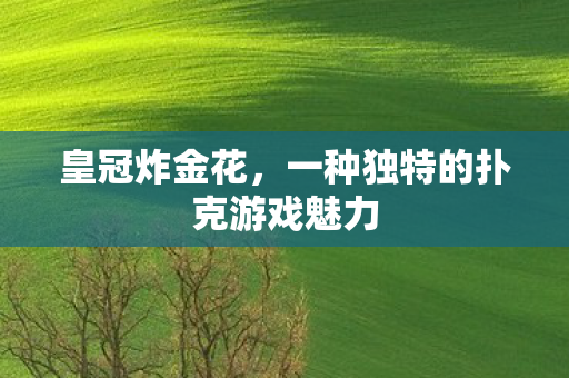 皇冠炸金花,一种独特的扑克游戏魅力 皇冠炸金花,一种独特的扑克游戏魅力