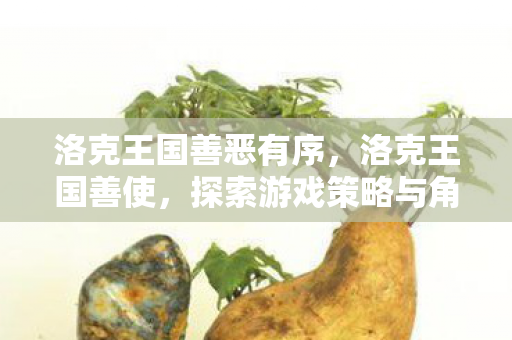 洛克王国善恶有序，洛克王国善使，探索游戏策略与角色发展