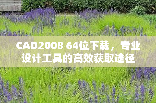 CAD2008 64位下载，专业设计工具的高效获取途径