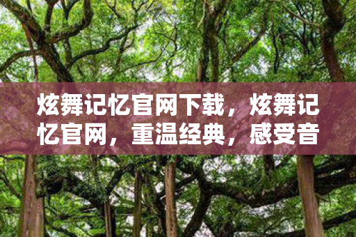 炫舞记忆官网下载，炫舞记忆官网，重温经典，感受音乐与舞蹈的无限魅力