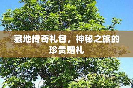 藏地传奇礼包,神秘之旅的珍贵赠礼 藏地传奇礼包,神秘之旅的珍贵赠礼
