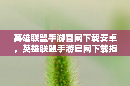英雄联盟手游官网下载安卓，英雄联盟手游官网下载指南，安全、便捷获取游戏