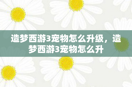 造梦西游3宠物怎么升级，造梦西游3宠物怎么升