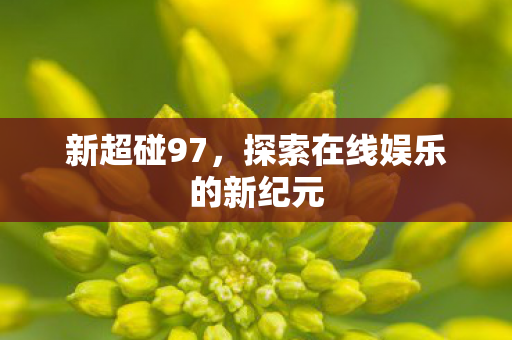 新超碰97,探索在线娱乐的新纪元 新超碰97,探索在线娱乐的新纪元