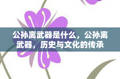 公孙离武器是什么，公孙离武器，历史与文化的传承