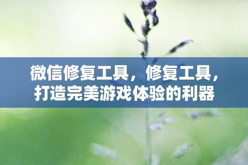 微信修复工具，修复工具，打造完美游戏体验的利器
