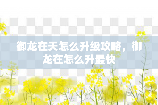 御龙在天怎么升级攻略，御龙在怎么升最快