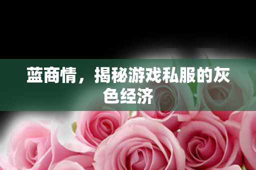蓝商情，揭秘游戏私服的灰色经济