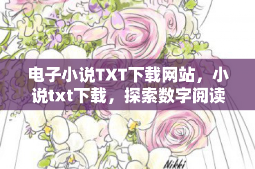 电子小说TXT下载网站，小说txt下载，探索数字阅读的无限可能
