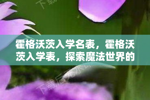 霍格沃茨入学名表，霍格沃茨入学表，探索魔法世界的门票