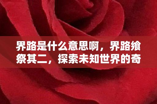 界路是什么意思啊，界路飨祭其二，探索未知世界的奇幻之旅