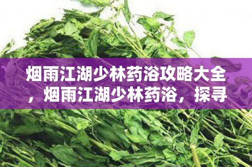 烟雨江湖少林药浴攻略大全，烟雨江湖少林药浴，探寻古刹秘境中的养生奇术