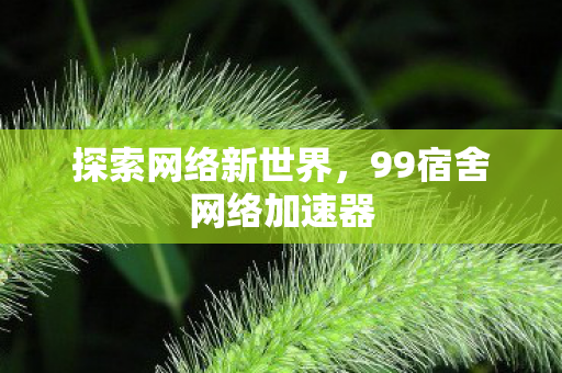 探索网络新世界,99宿舍网络加速器 探索网络新世界,99宿舍网络加速器