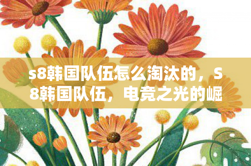 s8韩国队伍怎么淘汰的，S8韩国队伍，电竞之光的崛起