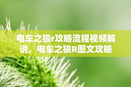 电车之狼r攻略流程视频解说，电车之狼R图文攻略