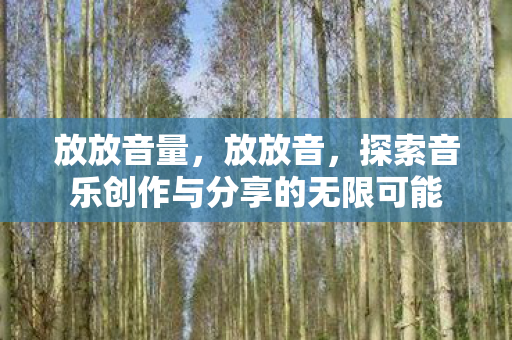 放放音量，放放音，探索音乐创作与分享的无限可能