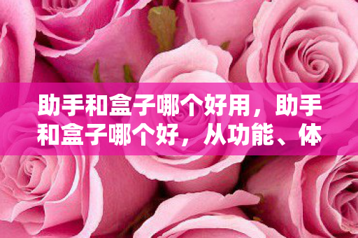 助手和盒子哪个好用，助手和盒子哪个好，从功能、体验与安全性全面对比