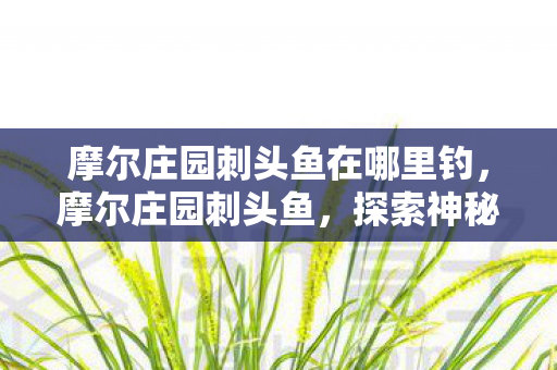 摩尔庄园刺头鱼在哪里钓，摩尔庄园刺头鱼，探索神秘水域的奇妙之旅