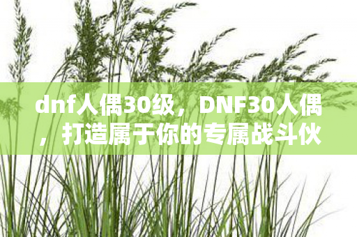 dnf人偶30级，DNF30人偶，打造属于你的专属战斗伙伴