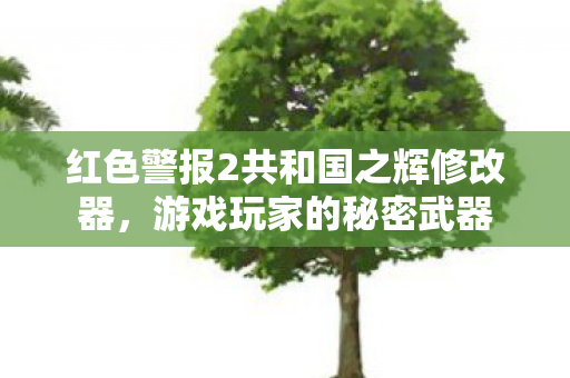 红色警报2共和国之辉修改器，游戏玩家的秘密武器