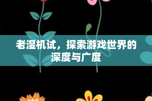 老湿机试，探索游戏世界的深度与广度