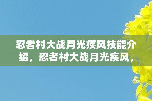 忍者村大战月光疾风技能介绍，忍者村大战月光疾风，一场跨时空的激战