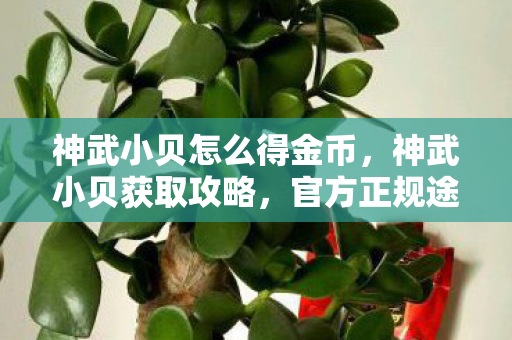 神武小贝怎么得金币，神武小贝获取攻略，官方正规途径全解析