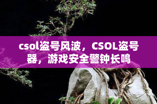 csol盗号风波，CSOL盗号器，游戏安全警钟长鸣