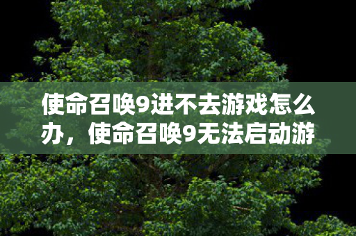 使命召唤9进不去游戏怎么办，使命召唤9无法启动游戏解决方案